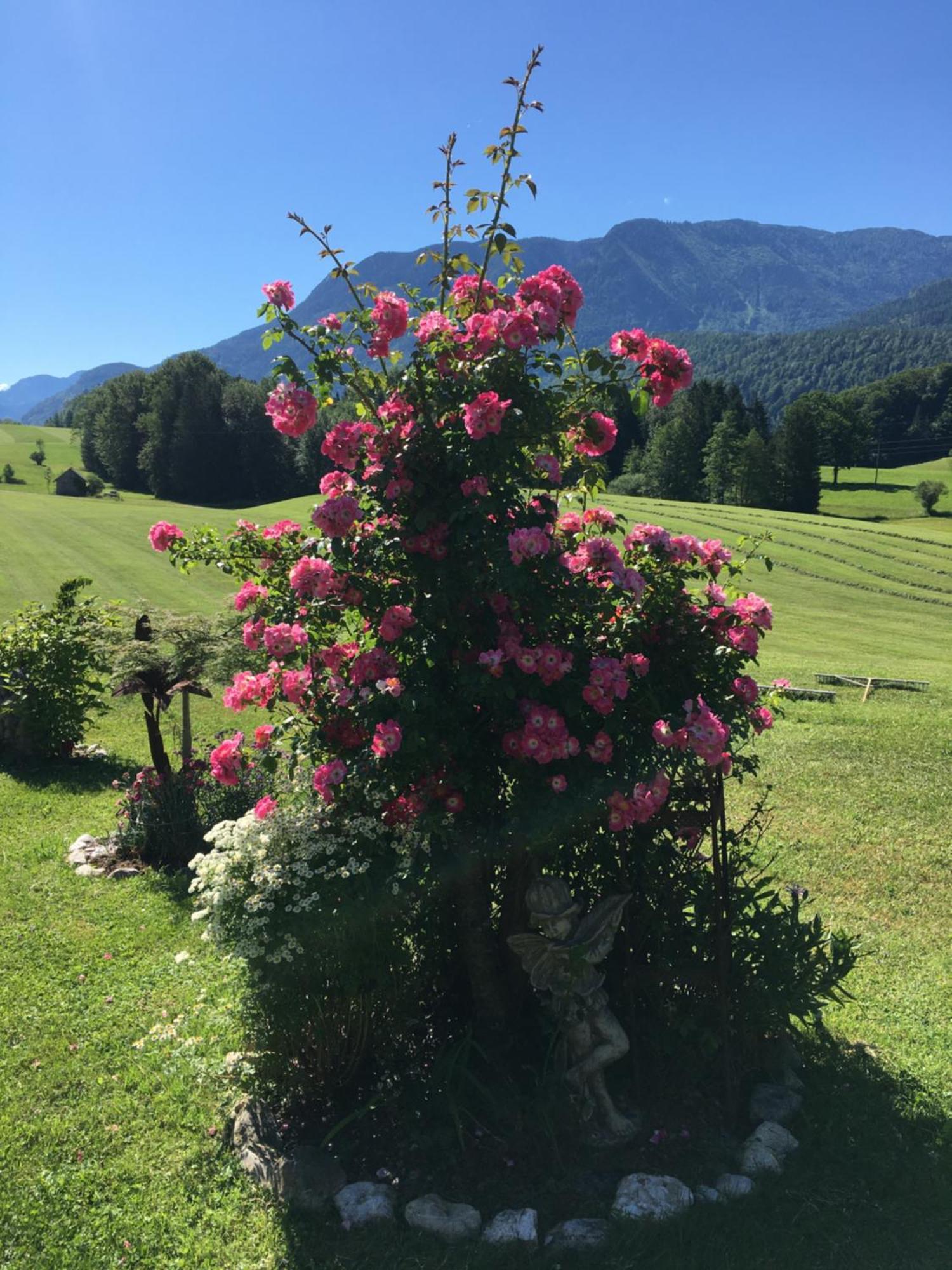 Maislbauer Saint Wolfgang Esterno foto